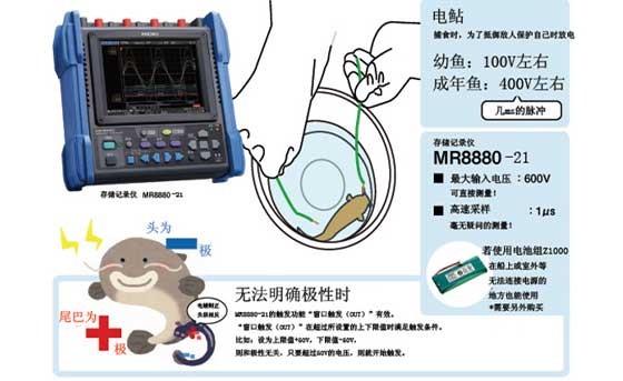 帶電魚的電壓測(cè)量